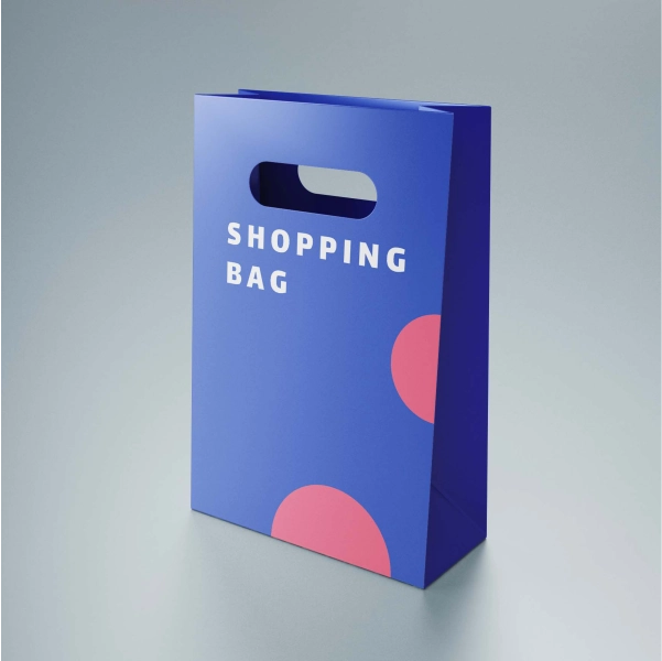 shopping-bag1